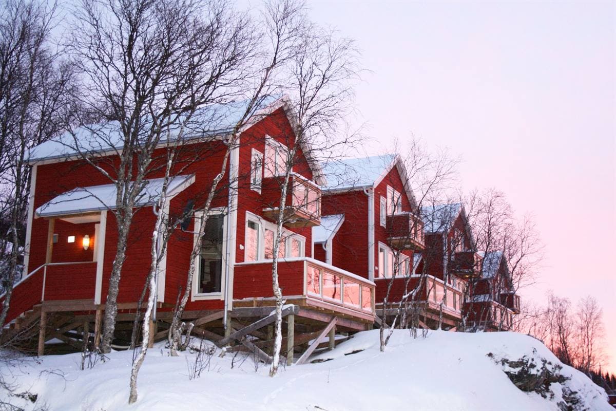 Sea View Cabins, painted red, on a snowy slope among birch trees at dusk