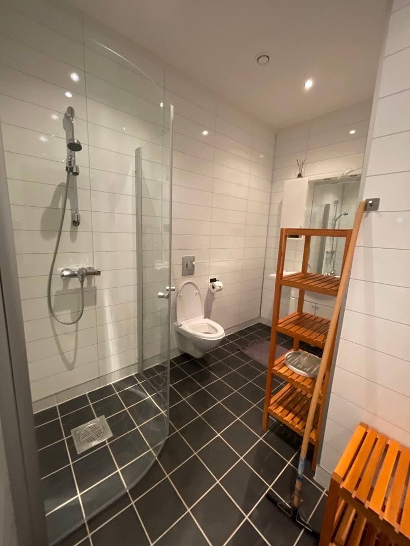 Bathroom with walk-in shower and toilet